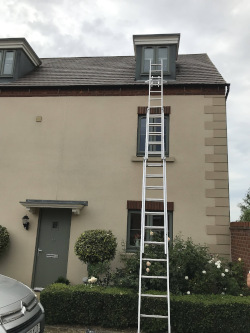 External Windows painted