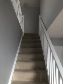 Hall, Stairs & Landing in Grey & white